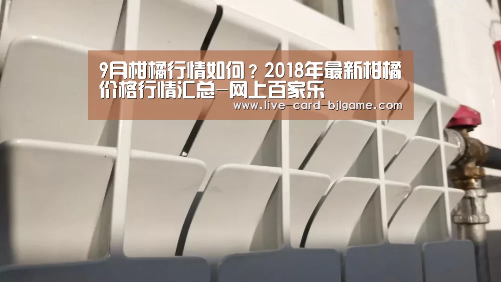 百家乐网站