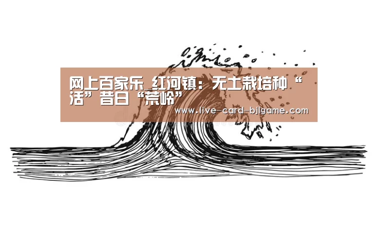 网上百家乐