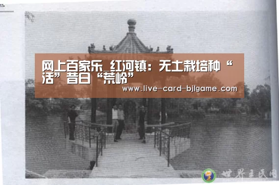 网上百家乐